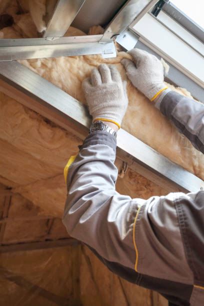 Best Insulation Maintenance and Repair in Hickory Hls, IL